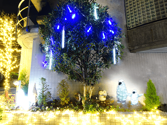 夜の外観装飾  