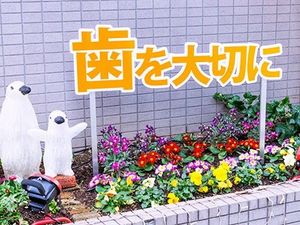 花壇と看板の外観  