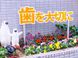 医療法人社団 伸永会 歯科中橋 歯科助手（日勤専従）（正社員）