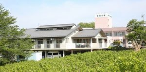 緑と家がある外観