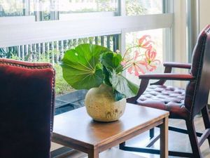 窓辺の椅子と鉢植えのラウンジ  