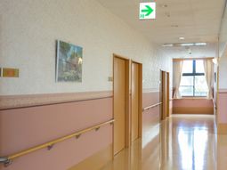 明るい廊下の様子