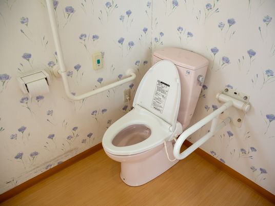 バリアフリー設計のトイレ