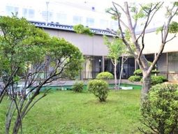 緑豊かな中庭の様子
