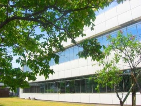 緑豊かな外観の建物