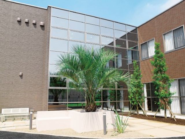 緑豊かな中庭風景 庭 開放感ある中庭では、心地良い風を感じながらリラックスできる環境を提供しています。自然光が差し込む空間でのひと時をお過ごしいただけます。