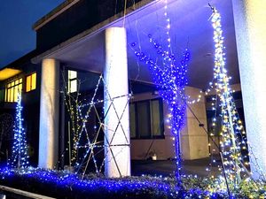ライトアップされた施設の外観  
