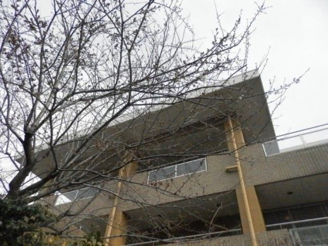 建物の外観  
