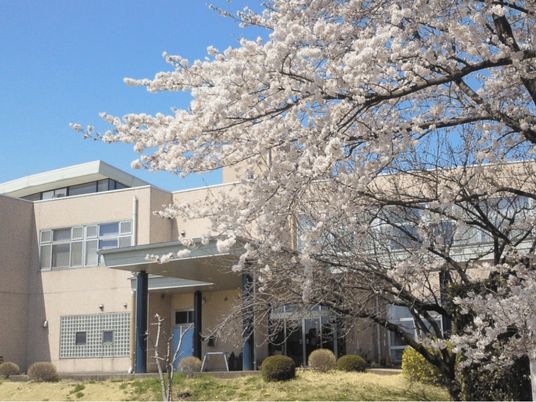 桜の木と建物外観  