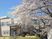 桜が映える建物外観  