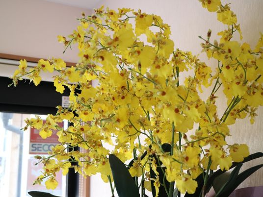 黄色い花のアレンジメント