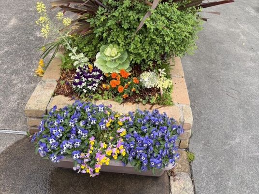 花壇の植栽  