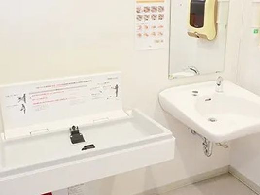 洗面台とベビーシートの洗面台  