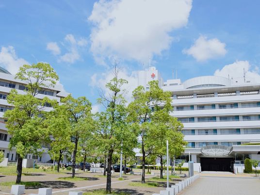 病院風の外観  