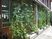 植栽のある建物外観  