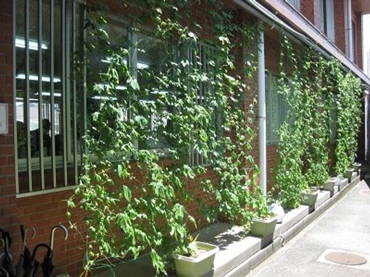 植栽のある建物外観  