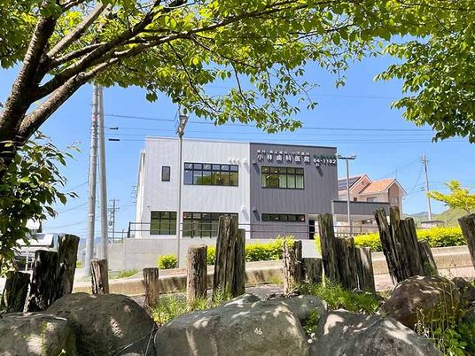 緑に囲まれた建物の外観  