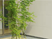緑の鉢植えがある外観  