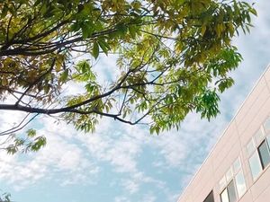 施設の建物と木々の外観  