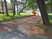 木立のある駐車場への道  