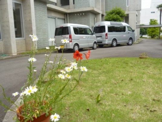 建物前の駐車場  