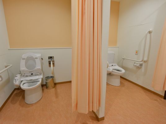 ドアでなく、カーテンでしきることができる洋式のトイレが設置してある。手すりが左右についているので、立ち居が困難な人も安心である。