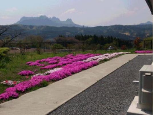 花が並ぶ綺麗な散歩道