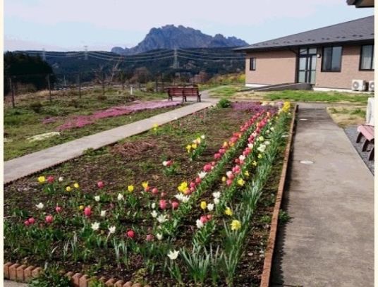 花壇付きの清潔な庭