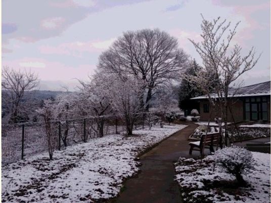 雪に覆われた庭園の景色