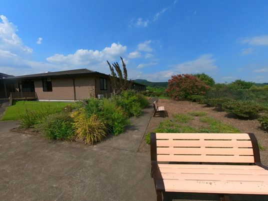 広々とした緑豊かな中庭