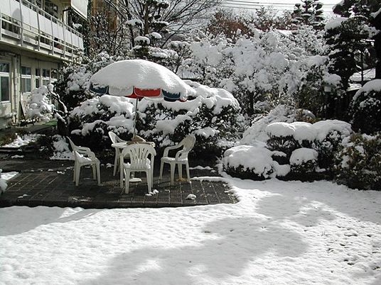 雪の中庭  