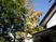庭木と青空の庭  