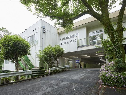 緑に囲まれた病院外観  