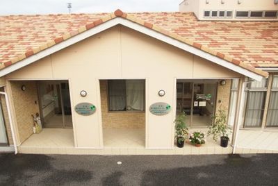 植物が置かれた玄関