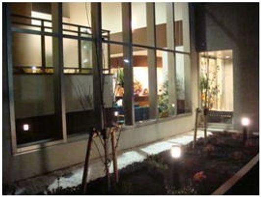 夜の中庭植栽  