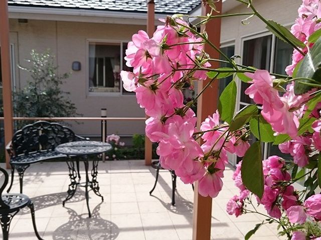 花に囲まれたテラス テラス 美しい花が咲く外のテラスで、お茶を楽しむひとときが過ごせます。リラックス効果抜群の空間です。