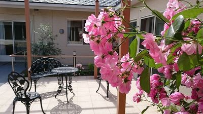 花に囲まれたテラス