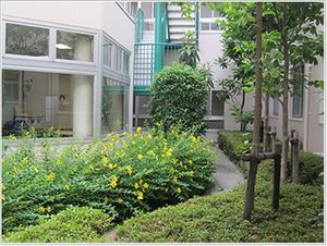中庭の植栽スペース  