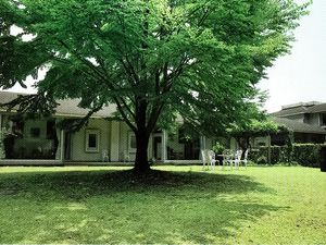 木陰のある庭  