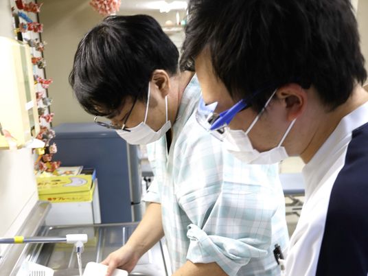 調理をする職員たちのキッチン  