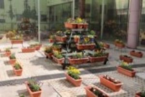 色とりどりの花が並ぶ庭