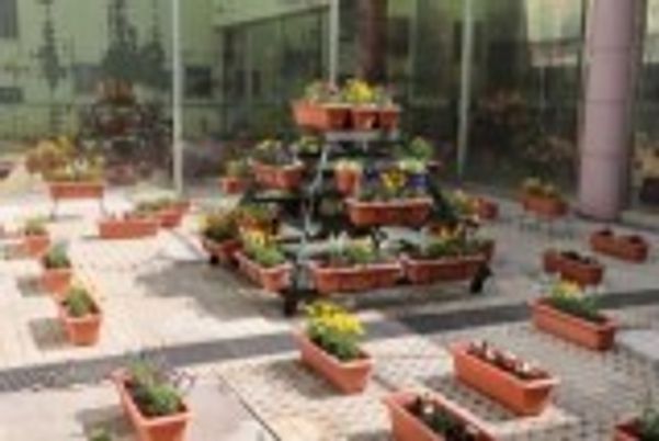 色とりどりの花が並ぶ庭