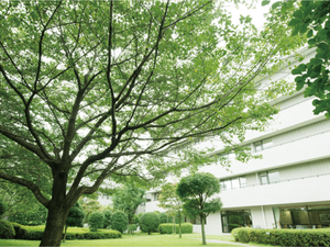 緑に囲まれた中庭  