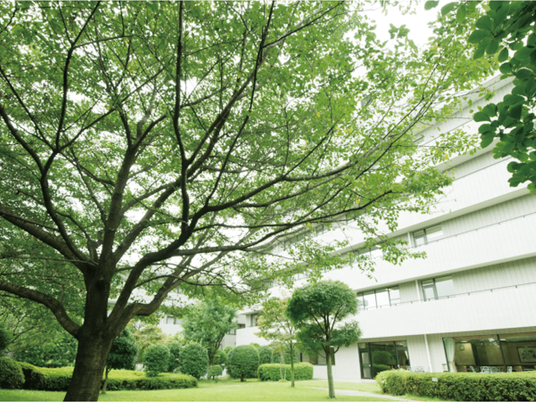 緑に囲まれた中庭  