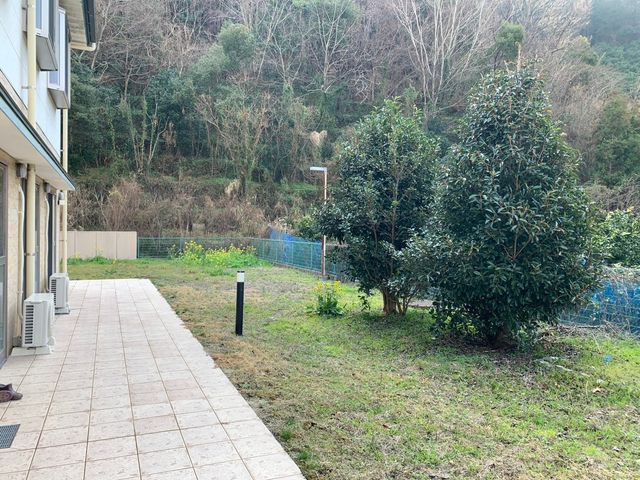 自然豊かな庭 庭 緑に囲まれた静かな庭です。癒しの時間を過ごすことができます。