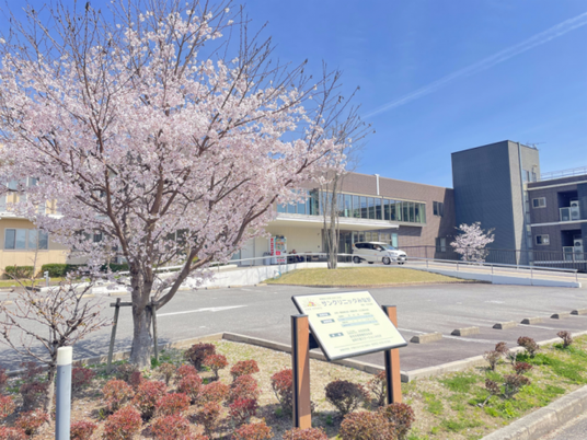 桜並木の外観  