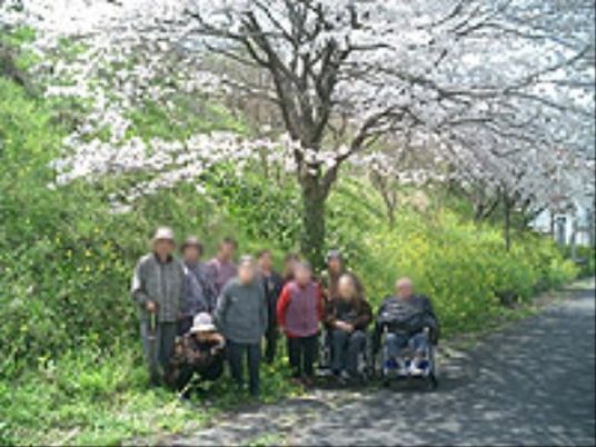 桜並木の下でのひと時
