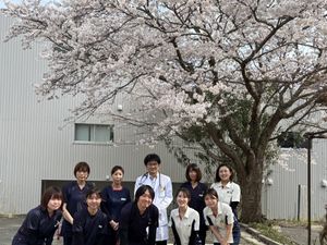 桜の木と建物外観