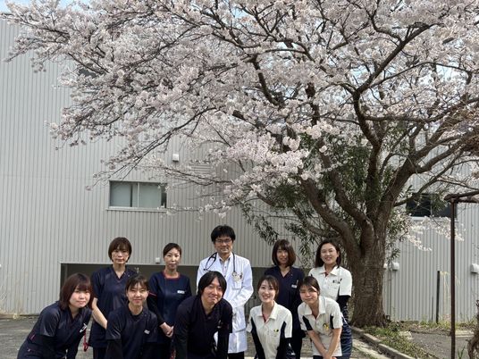 桜の木と建物外観