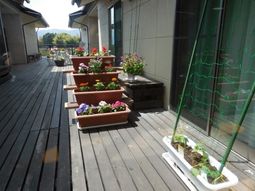 花と緑のあるテラス風景